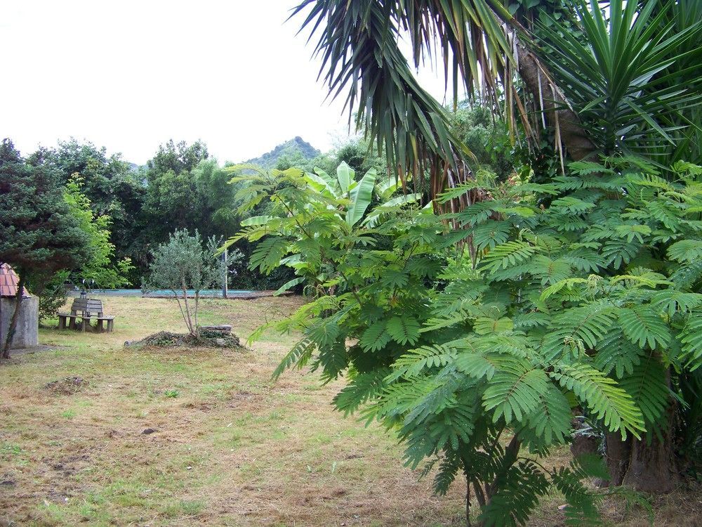 B&B El Jardin De Aes 푸엔테비에스고 외부 사진